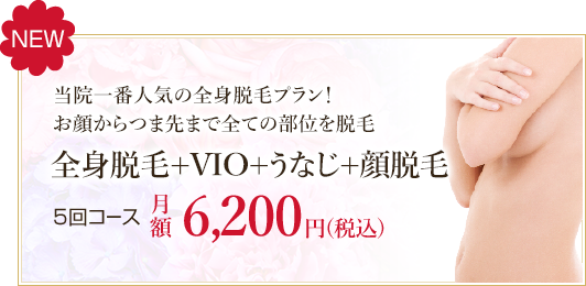 医療レーザー全身脱毛+VIO,うなじ+顔脱毛 5回コース
